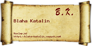 Blaha Katalin névjegykártya